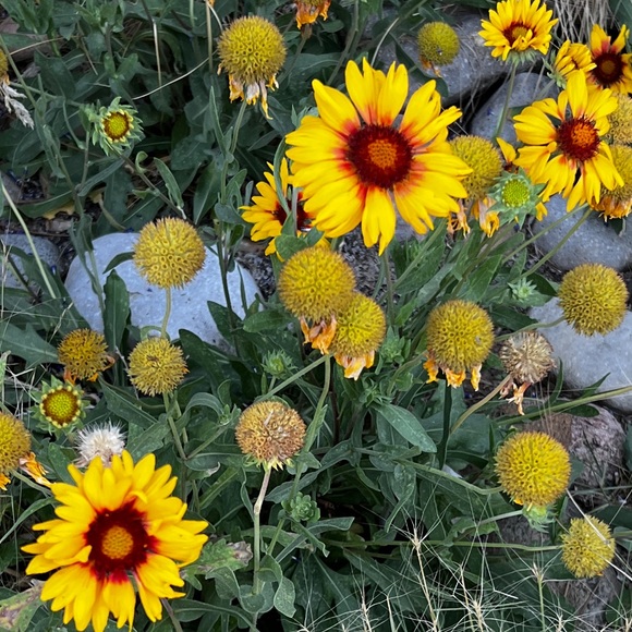 Meet your Posher, Rebecca - Picture 6 of 15